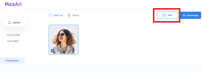 7-option2-edit-picsart