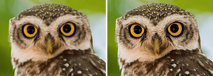 before-after-comparision-image-topaz-gigapixel-ai