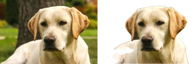 Background Remover Net effect
