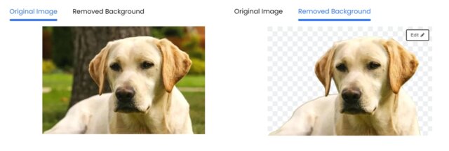 Slazzer - Transparent Image Maker