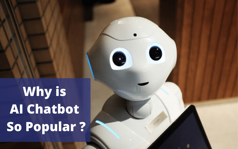 ai-chatbot