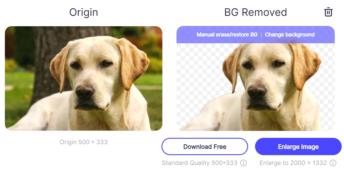 before and after