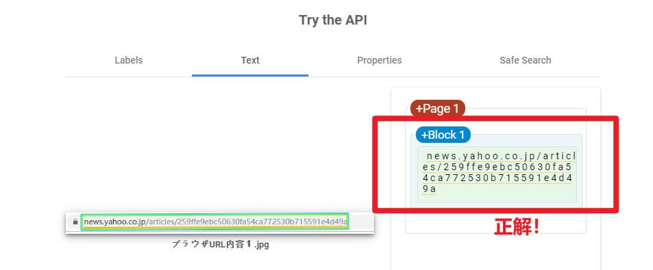 Google Vison AI効果-1
