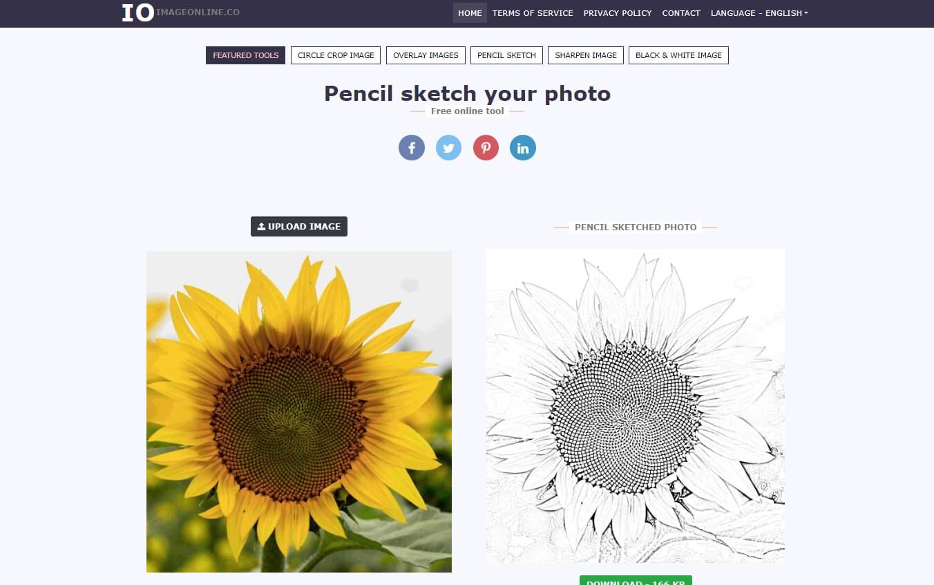 Top 10 Photo to Sketch Converter Free & Online (2024)