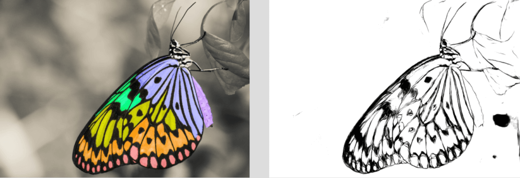butterfly-line-drawing