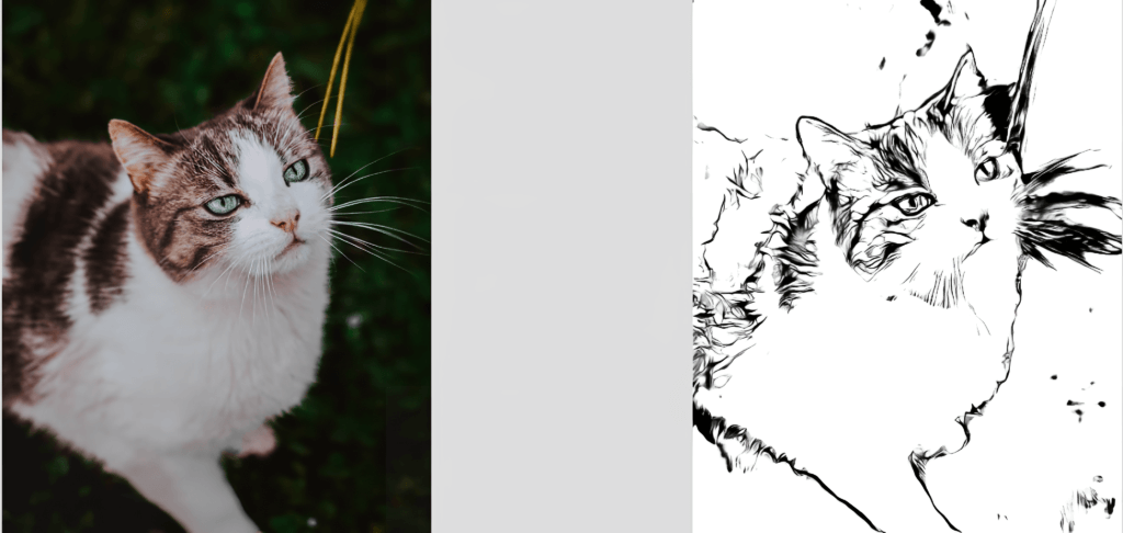 Best 10 Tools to Convert Photo to Line Drawing | 2024