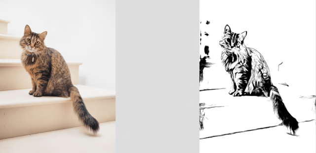 Cat line drawing photos