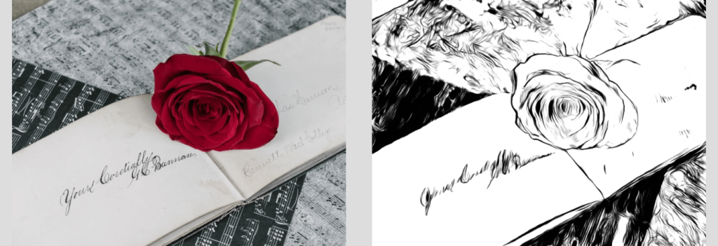 rose-line-drawing