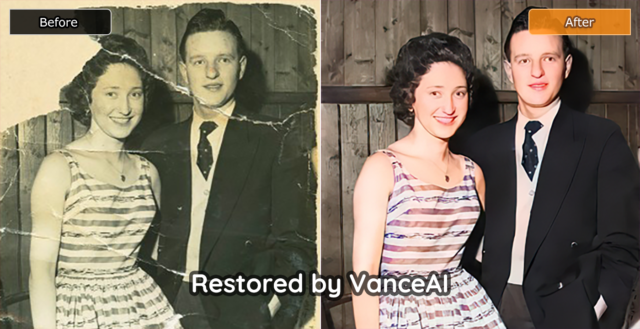 VanceAI Photo Restorer