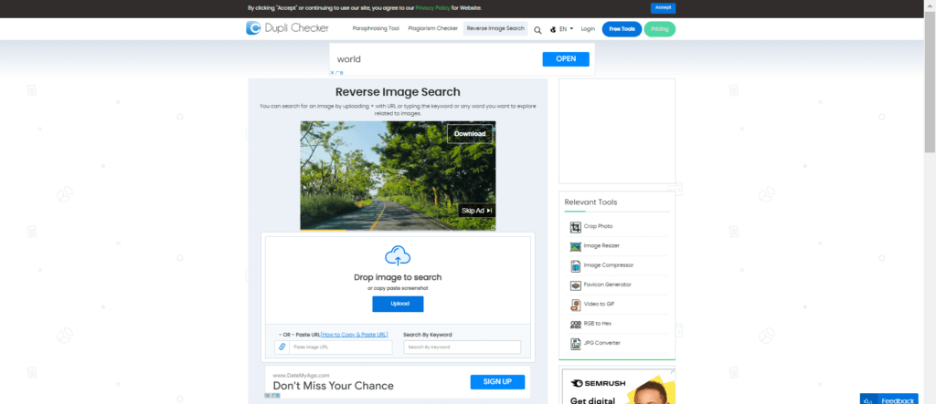 Reverse Image Search