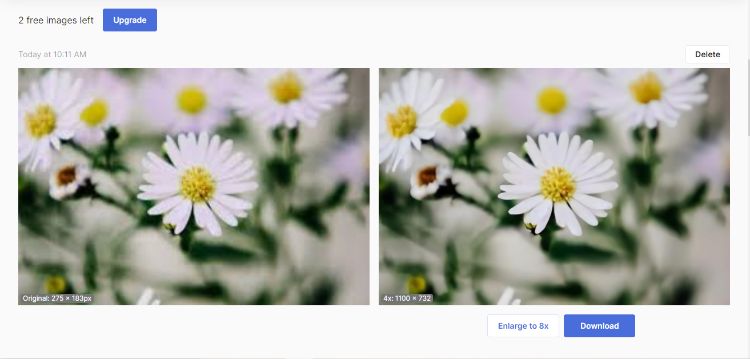 White Flowers After