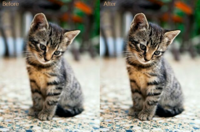 before and after effect of icons8 image upscaler