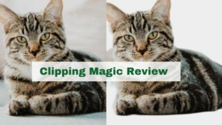 Clipping Magic Review