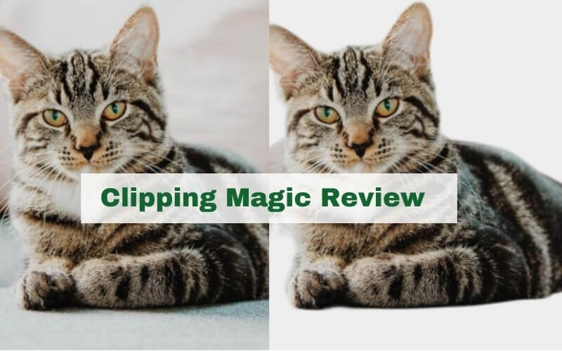 Clipping Magic Review