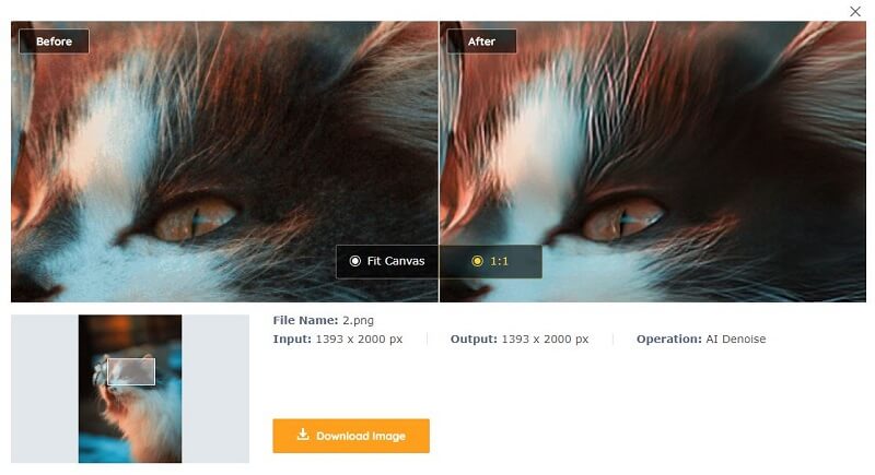 topaz-denoise-ai-review-vance-ai-3