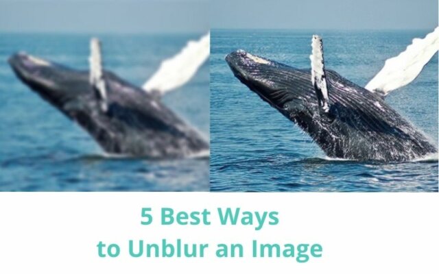 5 Best Ways To Unblur