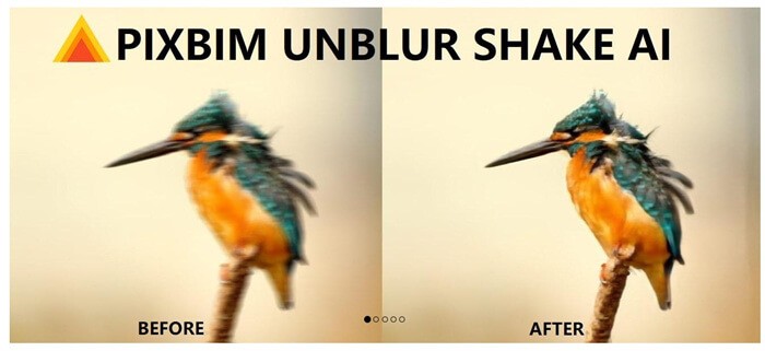 Unblur Photo with Pixbim