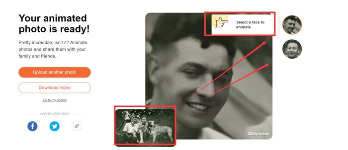 Apply Animation Feature