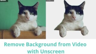 Remove Background from Video with Unscreen