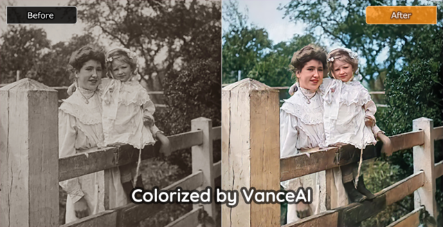 VanceAI Photo Colorizer