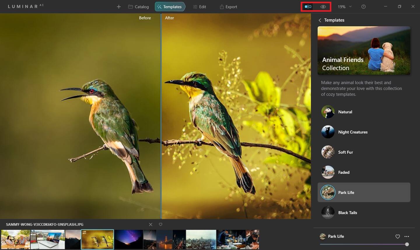 Luminar AI Review Best Guide for Beginners