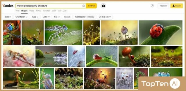 top-10-ai-reverse-image-search-tools8