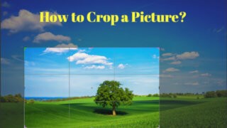 How to crop a picture