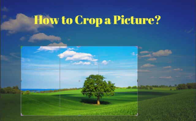 How to crop a picture