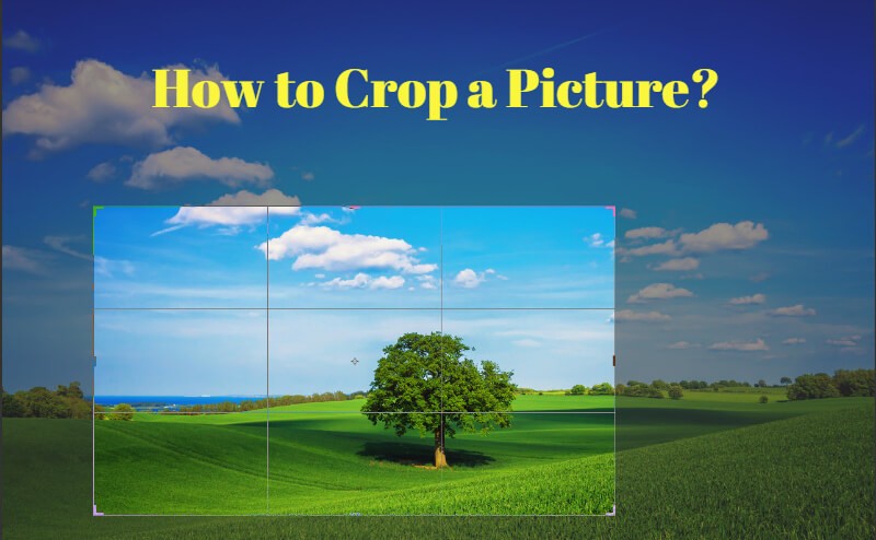 How to Crop a Picture on Different Devices?