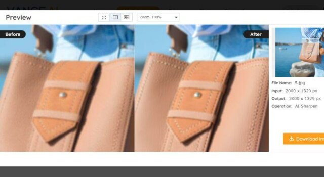 VanceAI Image Sharpener Result