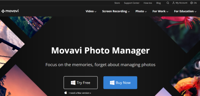 photo management software_movavi