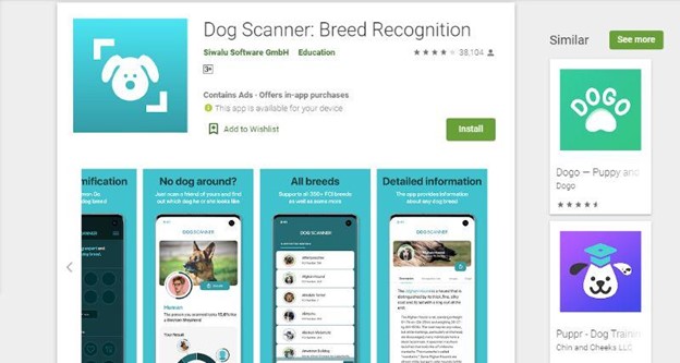 what-is-Breed-Recognition