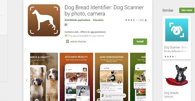 what-is-Dog-Breed-Identifier