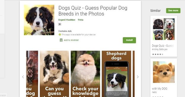 what-is-Dogs-Quiz