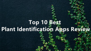 Top-10-Best-Plant-Identification-Apps-Review