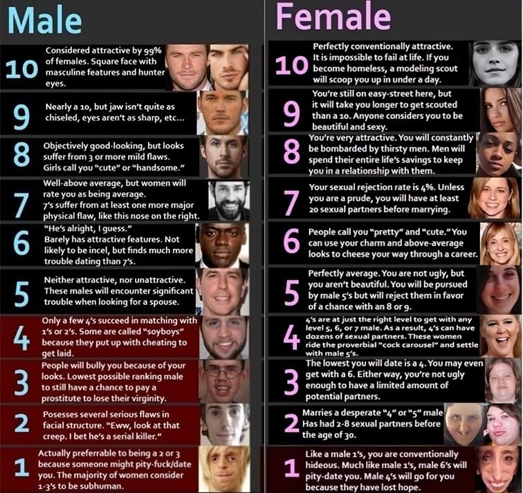 Attractiveness Scale: Know How Attractive You Are with AI