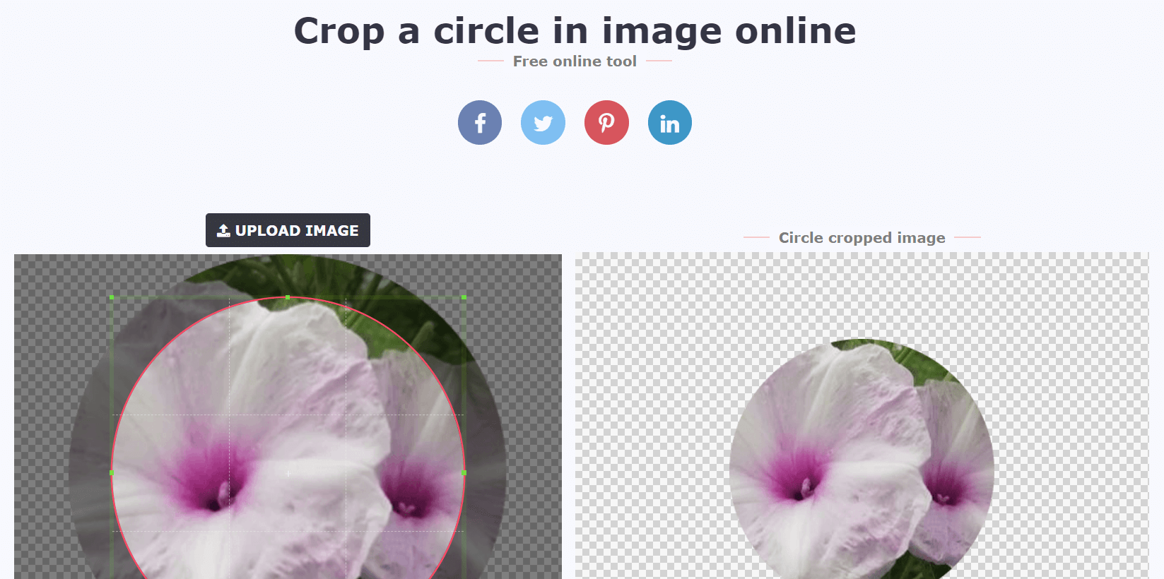 Top 10 Tools to Crop An Image into A Circle Review 2024