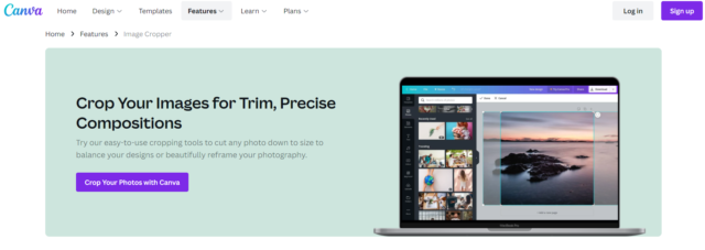 Canva Pricing- crop an image into a circle