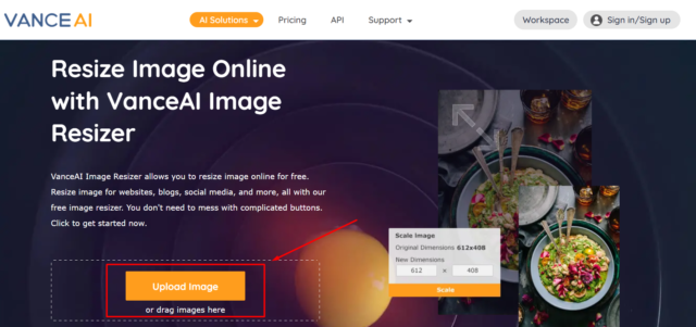 How to resize image using VanceAI Image Resizer