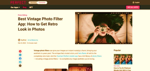 Vintage photo filter
