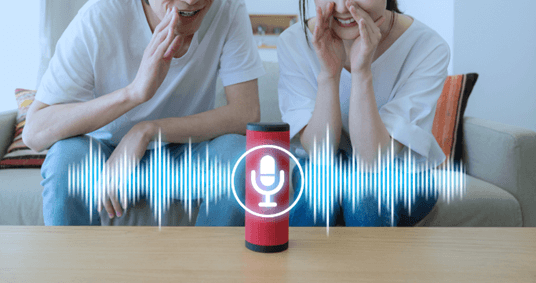 AI application in voice assistant