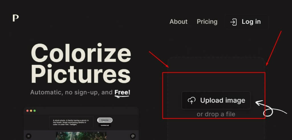 How To Colorize Black and White Photos For Free With Palette Colorizer?