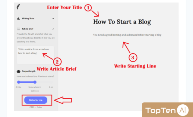 How to use ShortlyAI Step 3