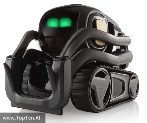 Vector Personal Robots