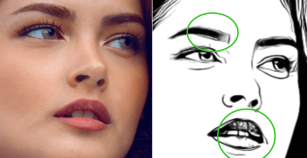 vansportrait review before and after effect on line drawing avatar2
