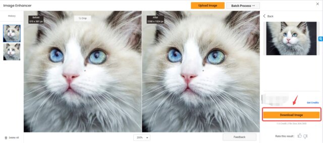 Preview and download on VanceAI Image Upscaler