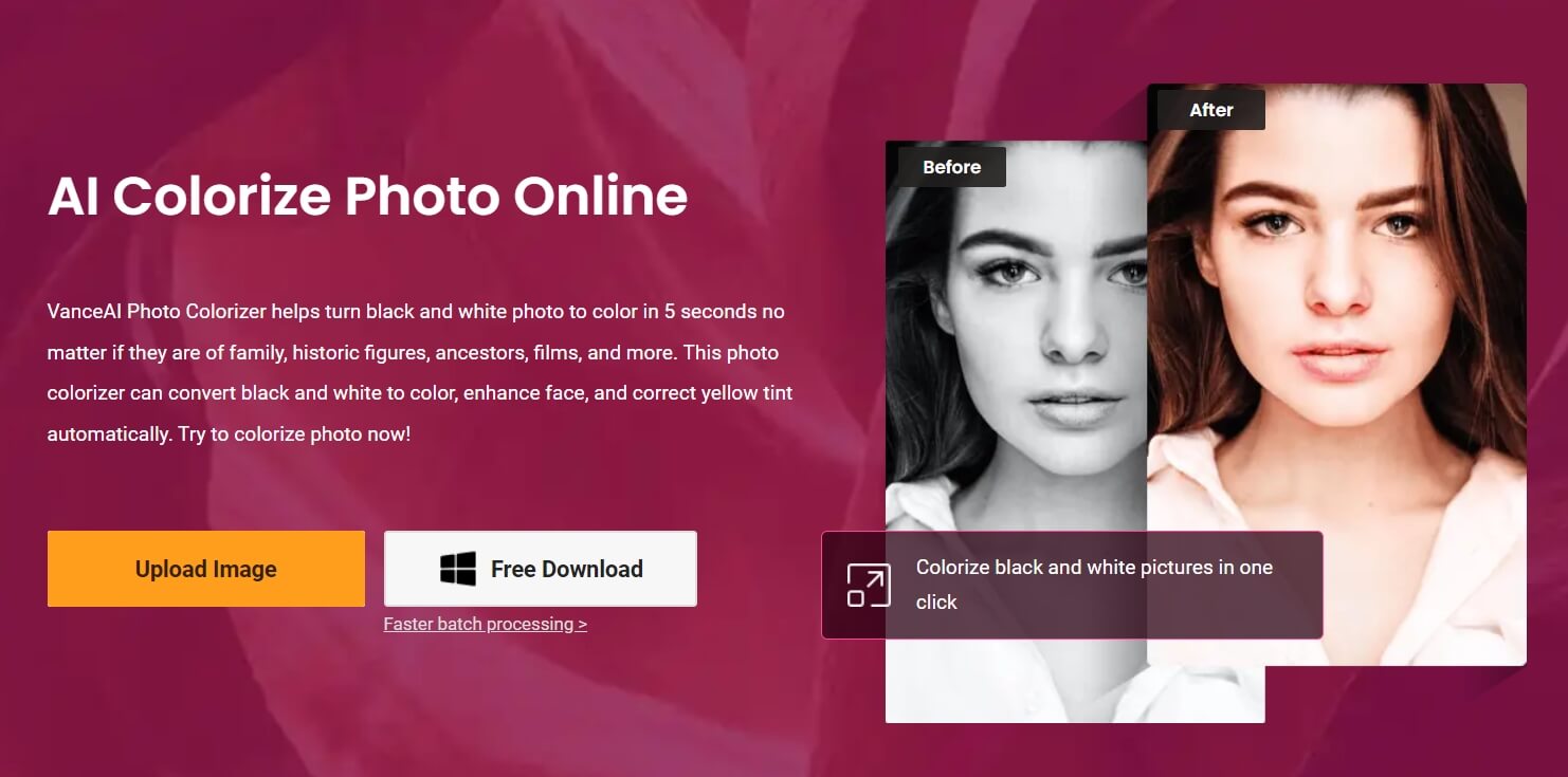 How to Use VanceAI Photo Colorizer to Colorize White and Black Photos?