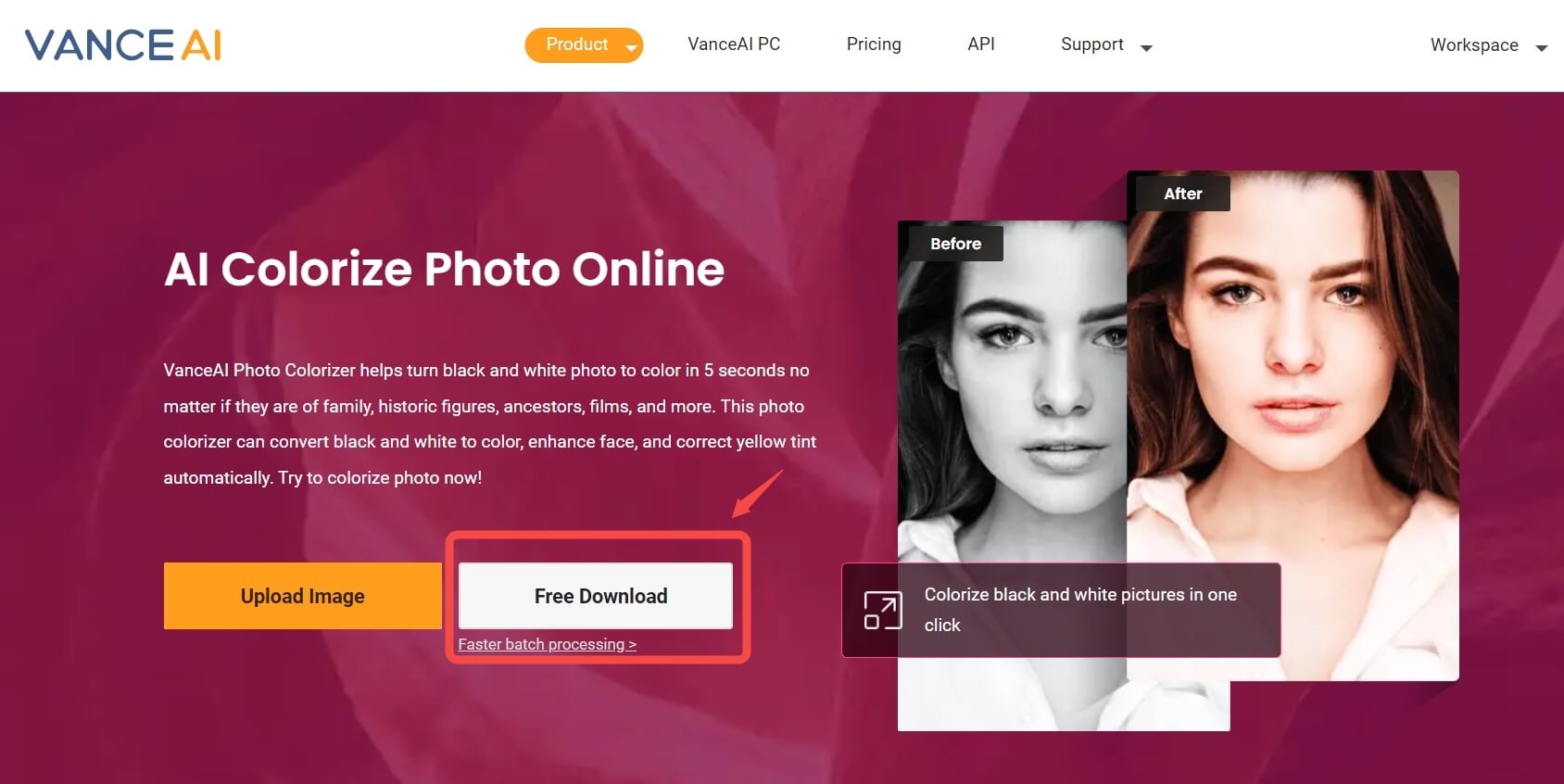 Photo Colorizer Software How to Use VanceAI Photo Colorizer to Colorize White and Black Photos?