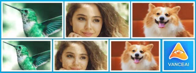 vanceAI pc review ai image editor