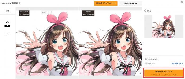 VanceAIで処理した画像